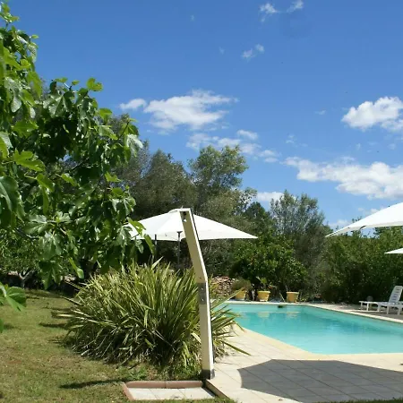Modern In Porto-vecchio With Pool Semesterbostad *