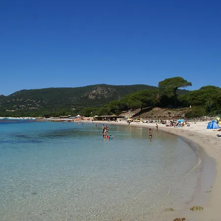 Modern In Porto-vecchio With Pool 维琪奥港